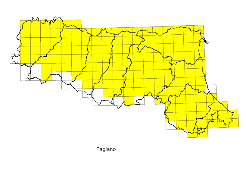 Fagiano - distribuzione