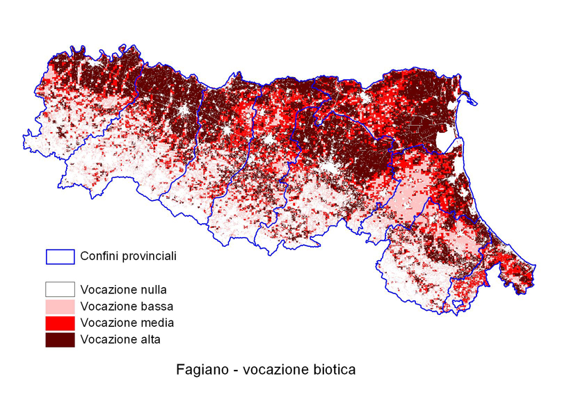 Fagiano vocazione biotica